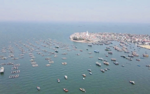 Bãi Đông - Bãi biển hoang sơ bậc nhất tại Thanh Hóa