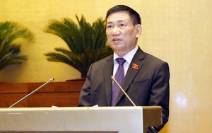 Kỳ họp thứ nhất, Quốc hội khóa XV: Quyết định cơ cấu tổ chức của Chính phủ nhiệm kỳ 2021-2026