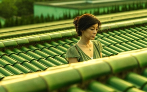 LHP Toronto công bố danh sách phim được trình chiếu