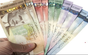 Nguyên nhân tiền mặt 'sống sót' trong đại dịch Covid-19 tại Canada
