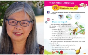 Gặp lại tác giả được đưa vào SGK: 'Cổng trường mở ra' với Lý Lan