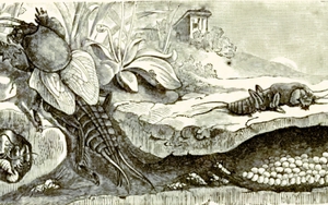 Tản văn cuối tuần: Sự thật về dế trũi