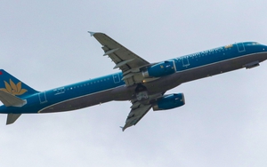 Cục Hàng không đề xuất phân nhóm sân bay để chuẩn bị khôi phục bay nội địa