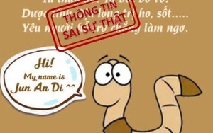 Công an Cần Thơ làm việc với cô gái đăng tin 'Giun đất trị Covid-19'