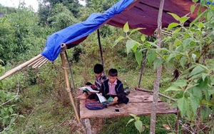 Thư gửi robot Citizen: Cho em thơ đến trường…