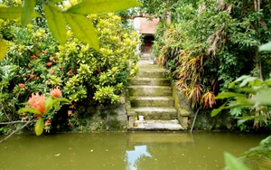 Ai 'nhuộm xanh' Thu Việt Nam?