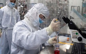 WHO lập nhóm điều tra các mầm bệnh mới nhằm ngăn chặn đại dịch