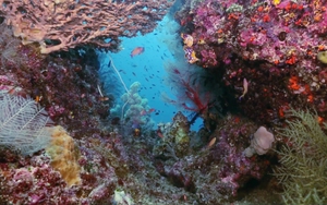 LHP Khoa học: Sức khỏe và tinh thần tốt quan trọng hơn bao giờ hết!