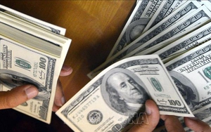 Mỹ thưởng gần 200 triệu USD cho người tố giác vi phạm quy định tài chính