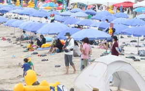 Đảo Jeju hướng tới phát triển du lịch không khí thải carbon và rác thải