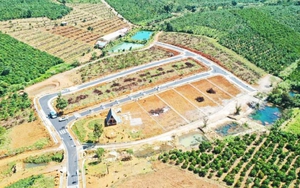 Công an vào cuộc điều tra vụ hiến đất làm đường để phân lô ở Lâm Đồng