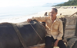 Diễn viên Trọng Hiếu: Nỗ lực hoàn thành tâm huyết của Trần Cảnh Đôn