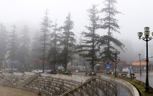 Sa Pa thời tiết chuyển rét đậm, rét hại