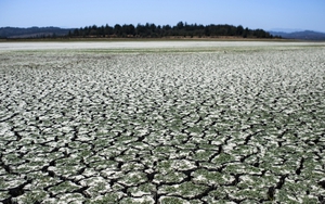 Thế giới cần hàng nghìn tỷ USD để ứng phó với những hệ hụy từ biến đổi khí hậu