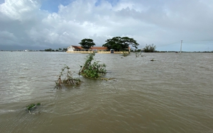 Hình ảnh trường học ở Bình Định ngập sâu, hàng nghìn học sinh nghỉ học