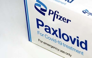 Châu Âu khuyến nghị sử dụng thuốc viên điều trị Covid-19 của hãng Pfizer
