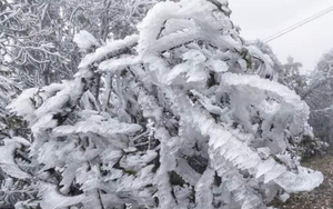 Đợt rét đậm, rét hại đầu tiên có khả năng xảy ra mưa tuyết và băng giá