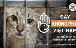 Chữ và nghĩa: Đâu mới là Việt Nam?