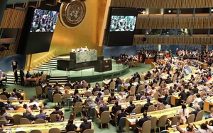 Việt Nam và Hội đồng Bảo an Liên hợp quốc: Những dấu ấn đáng nhớ