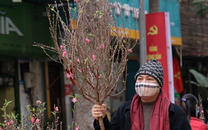 Góc nhìn 365: Cuối năm, ngóng chợ hoa Hàng Lược