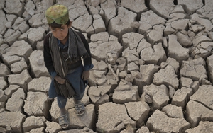 Mỹ công bố giai đoạn 'nóng kỷ lục' của khí hậu toàn cầu