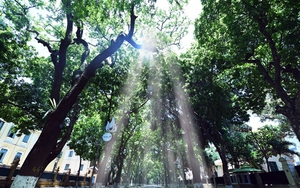 TP.HCM, Nha Trang và Cần Thơ có chỉ số tia cực tím gây hại cao đến rất cao