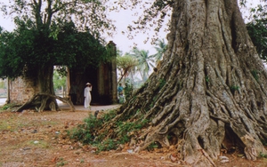 'Bán anh em xa, mua láng giềng gần'!
