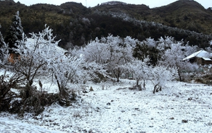 Từ đêm 29/1, trời chuyển rét đậm, rét hại với nhiệt độ thấp nhất phổ biến 11-13 độ C