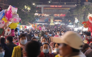 Kiến nghị mở cửa trở lại Chợ đêm Đà Lạt (Lâm Đồng)