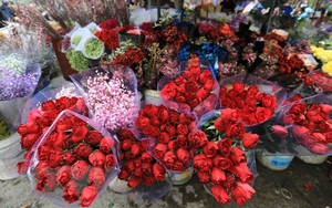 Giá hoa hồng Đà Lạt cho ngày Valentine tăng gấp từ 2-3 lần