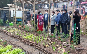 Hà Nội nghiên cứu phát triển bãi giữa, bãi bồi ven sông Hồng thành công viên văn hóa du lịch