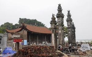 Từ 'cây đa đình Chèm' tới ký ức đô thị