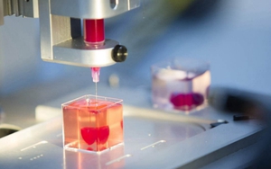 Kỹ thuật in sinh học 3D in được mô tim có thể tồn tại trong ống nghiệm và duy trì nhịp đập