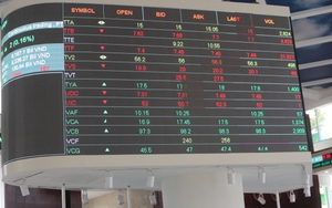 Ủy ban Chứng khoán Nhà nước yêu cầu công ty chứng khoán báo cáo dư nợ margin của các cổ phiếu họ FLC