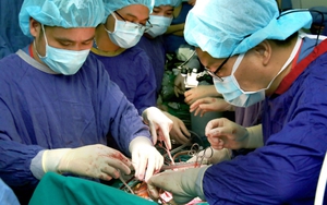 Chủ tịch nước biểu dương Bệnh viện Nhi TƯ ghép gan thành công cho bệnh nhi 9 tháng tuổi