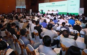 Cổ đông OCB chất vấn về các khoản cho vay Tập đoàn FLC và Đại Nam