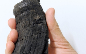 Phát hiện răng khổng lồ của loài bò sát biển cổ đại ở dãy núi Alps