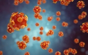 CDC Mỹ tìm hiểu nguyên nhân gây bệnh viêm gan mãn tính hiếm gặp