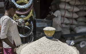 Đức cảnh báo giá lương thực tăng cao nhất từ trước tới nay