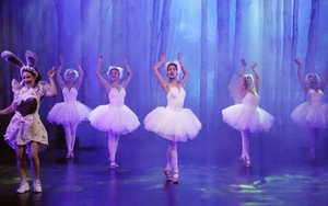 Trao giải Dế Mèn và đấu giá nghệ thuật 'Vì mái trường cho em': Nghệ thuật 'vị tương lai'