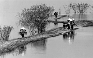 Ký ức làng xã qua ống kính Trần Tuấn