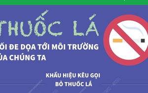 Ngày Thế giới không thuốc lá 31/5: Thuốc lá - Mối đe dọa tới môi trường của chúng ta