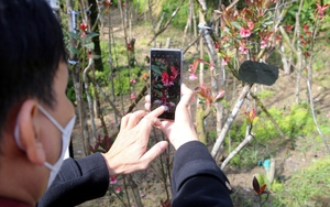 Bắc Bộ và Bắc Trung Bộ nền nhiệt tăng không còn rét đậm