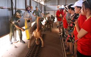 Bảo tàng tại TP HCM: Nỗ lực từ hoạt động trực tiếp tới trực tuyến