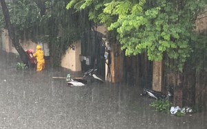 Cảnh báo lũ quét, sạt lở đất và ngập úng cục bộ ở vùng núi Bắc Bộ