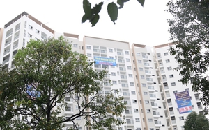 Thị trường bất động sản nhiều nơi hạ nhiệt nhưng giá vẫn cao