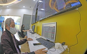 Vì sao hiệu suất hoạt động của nhiều quỹ mở vượt trội hơn so với VN-Index?