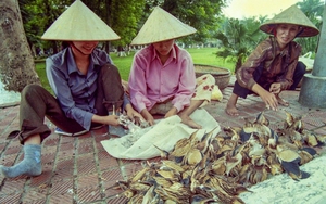 Cuộc đời sau ống kính: 20 năm vẫn tận diệt chim trời