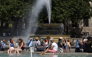 Chính phủ Anh họp khẩn trước đợt nắng nóng kỷ lục