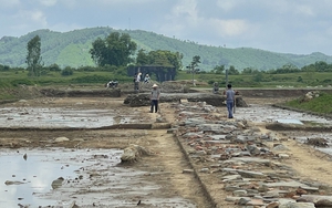 Hội thảo báo cáo sơ bộ kết quả khai quật đường Hoàng Gia nội thành Di sản thế giới Thành nhà Hồ